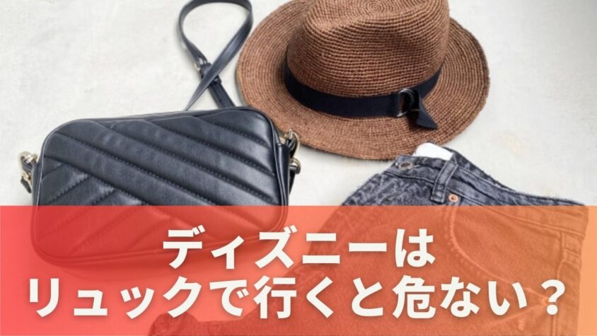 ディズニーはリュックで行くと危ない？