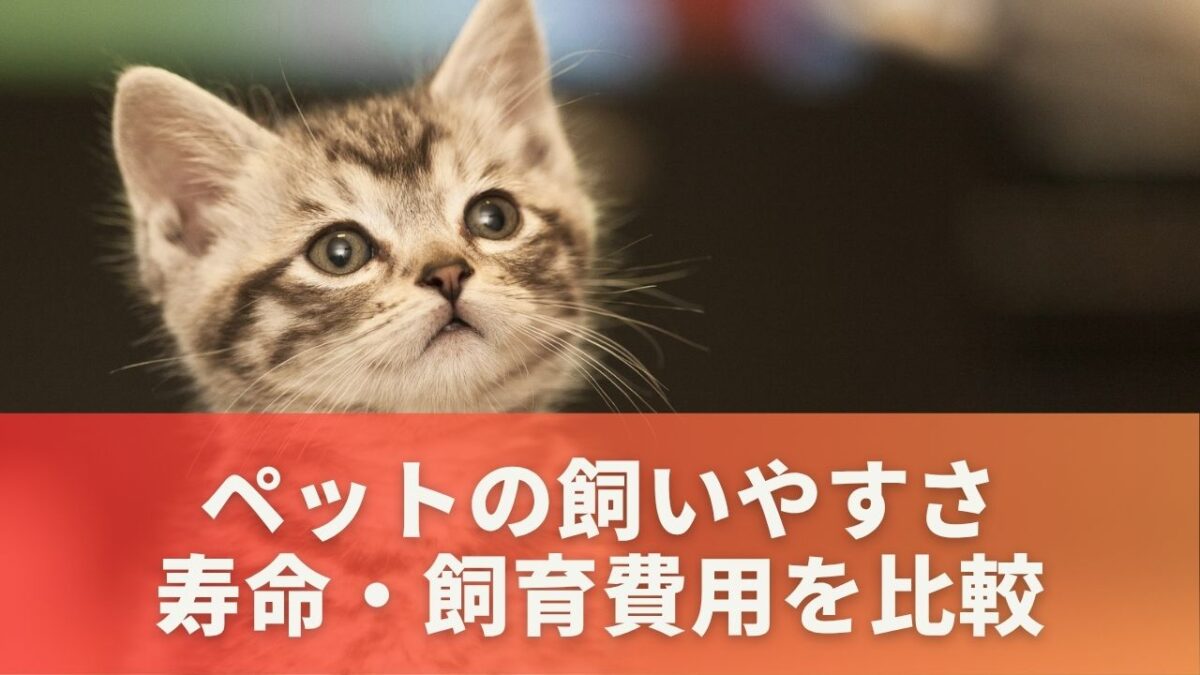 ペットの飼いやすさ・寿命・飼育費用を比較
