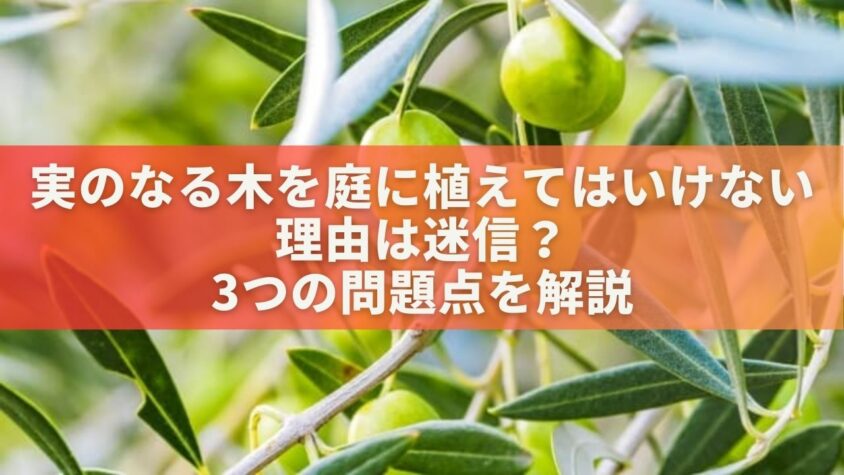 実のなる木を庭に植えてはいけない理由は迷信？3つの問題点を解説