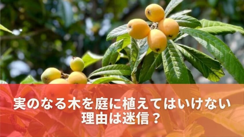 実のなる木を庭に植えてはいけない理由は迷信？