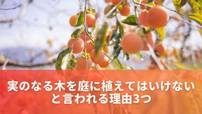 実のなる木を庭に植えてはいけないと言われる理由3つ