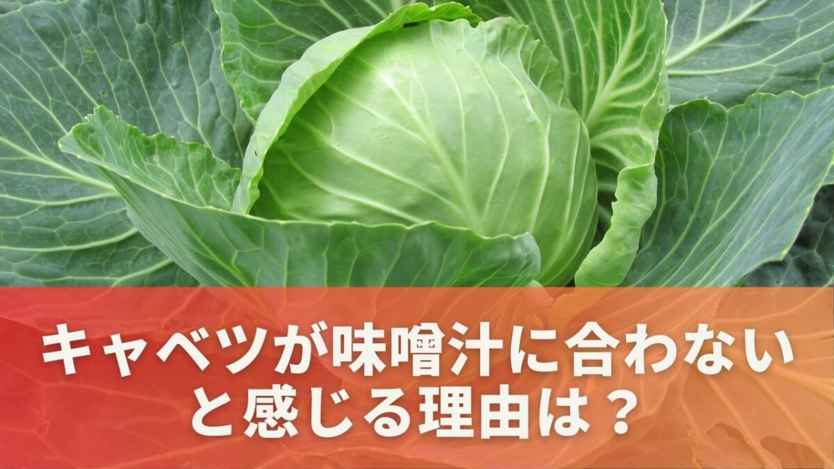 キャベツが味噌汁に合わないと感じる理由は？