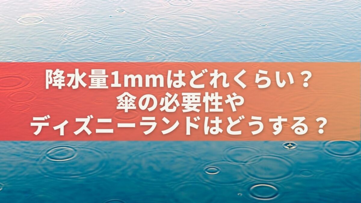 降水量1mmはどれくらい？傘の必要性やディズニーランドはどうする？