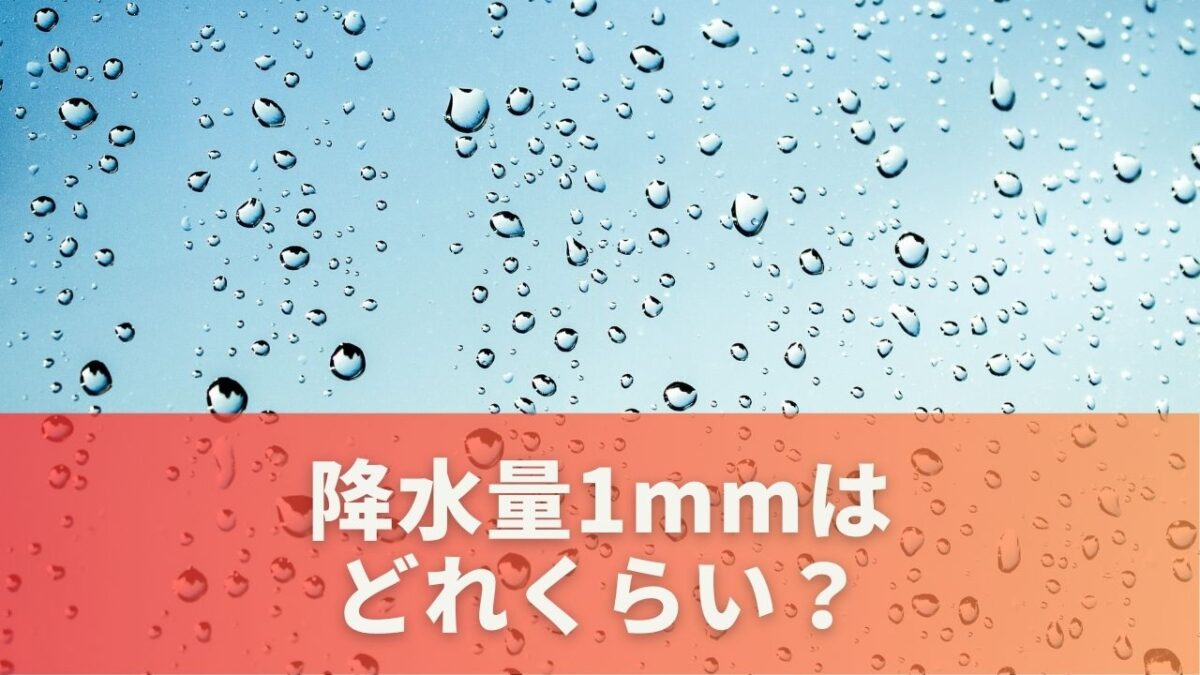 降水量1mmはどれくらい？