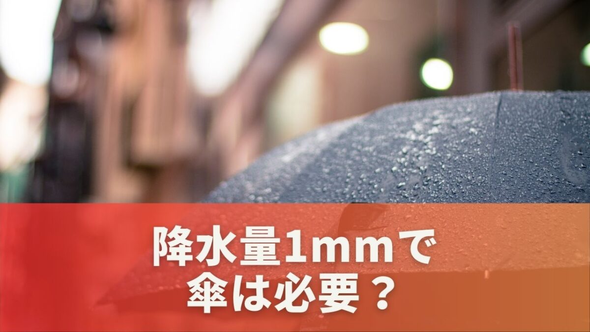 降水量1mmで傘は必要？