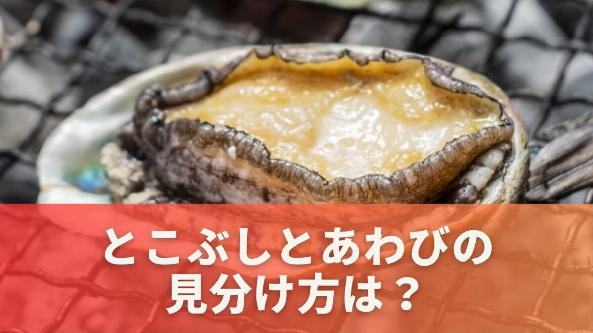 とこぶしとあわびの見分け方は？