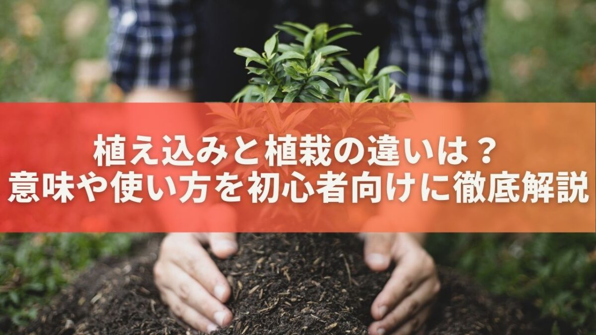 植え込みと植栽の違いは？意味や言葉の使い方を初心者向けに徹底解説