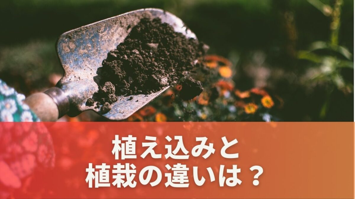 植え込みと植栽の違いは？