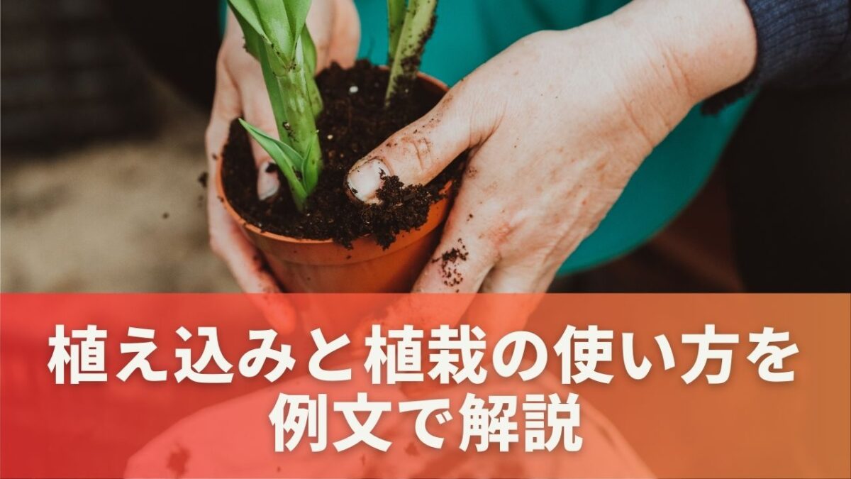 植え込みと植栽の言葉の使い方を例文で解説