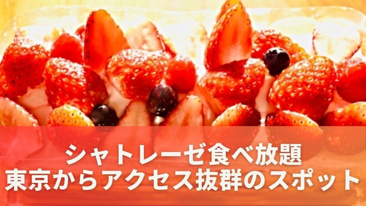 シャトレーゼ食べ放題 東京からアクセス抜群のスポット！