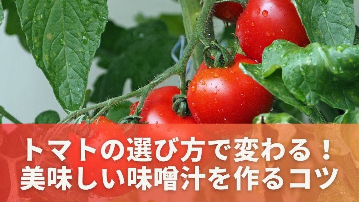 トマトの選び方で変わる！美味しい味噌汁を作るコツ