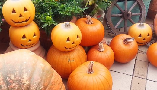 ハロウィンかぼちゃの値段や日持ちはどれぐらい？どこで売ってる？