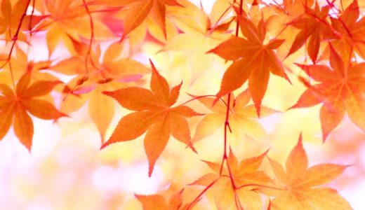 京都の紅葉狩りにおすすめの服装や持ち物について解説！