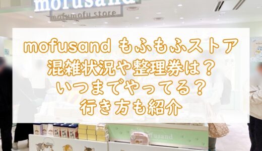 モフサンド東京駅の混雑状況や整理券は？いつまでやってる？行き方も紹介